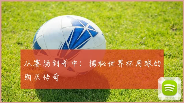 从赛场到手中：揭秘世界杯用球的购买传奇