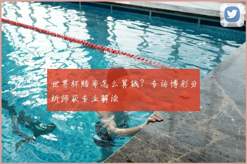 世界杯赔率怎么算钱?专访博彩分析师获专业解读