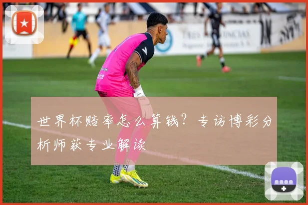 世界杯赔率怎么算钱?专访博彩分析师获专业解读