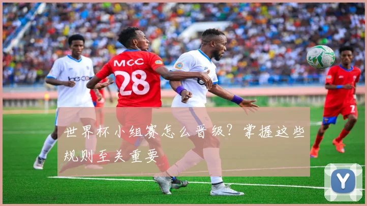 世界杯小组赛怎么晋级？掌握这些规则至关重要