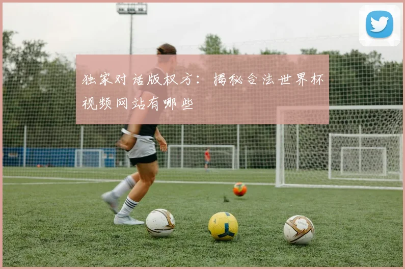 独家对话版权方:揭秘合法世界杯视频网站有哪些