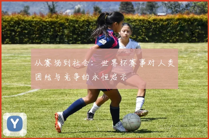 从赛场到社会：世界杯赛事对人类团结与竞争的永恒启示